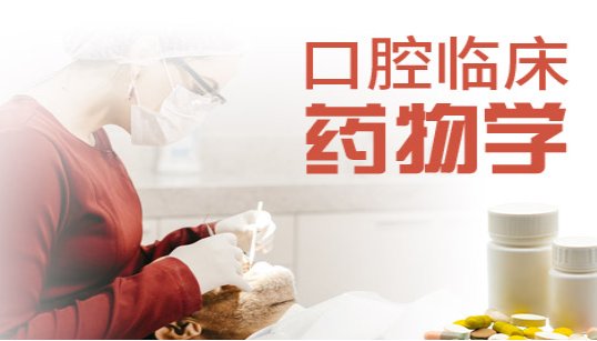 赵信义 教授