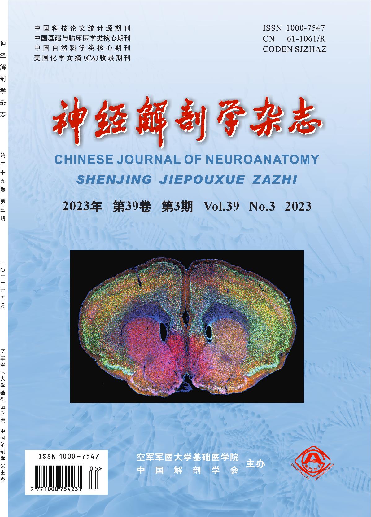 刊 号：ISSN 2097-1656