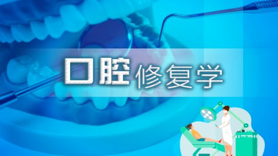 王晓娟 教授