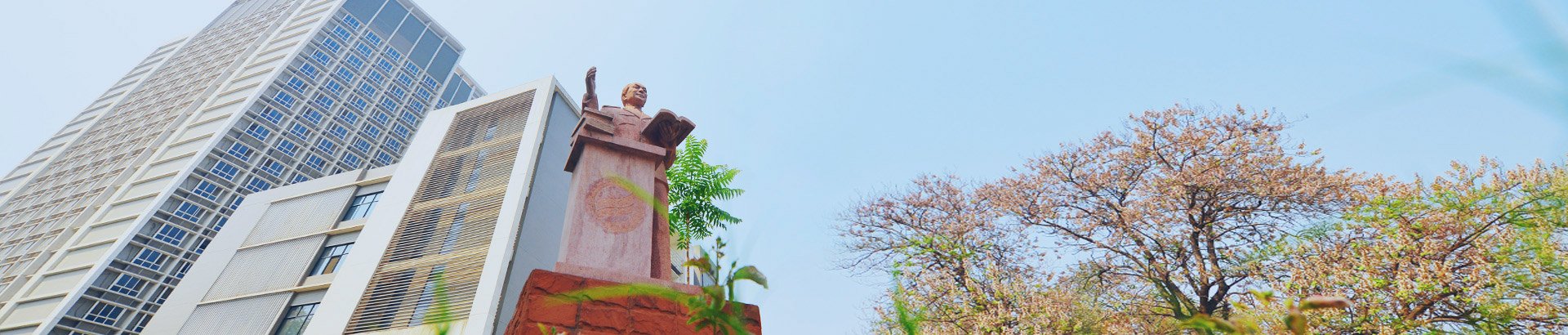 Faculties