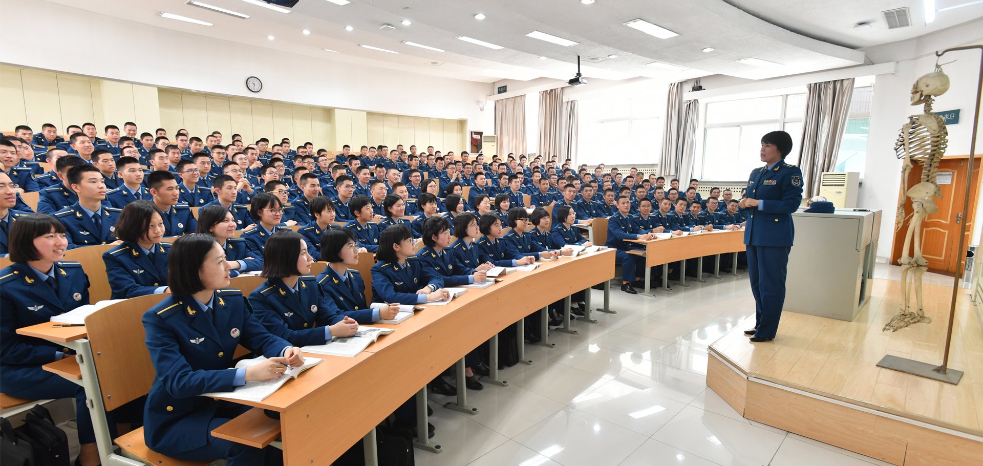 Faculties