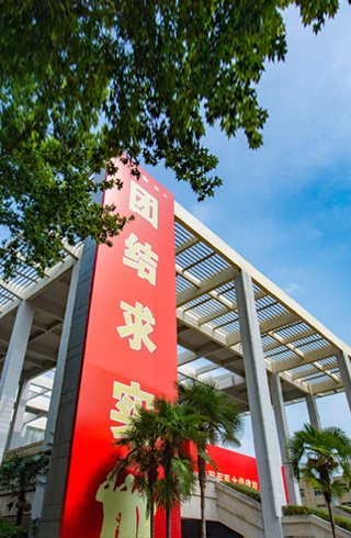 大学毕业后